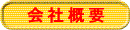 ЊTv